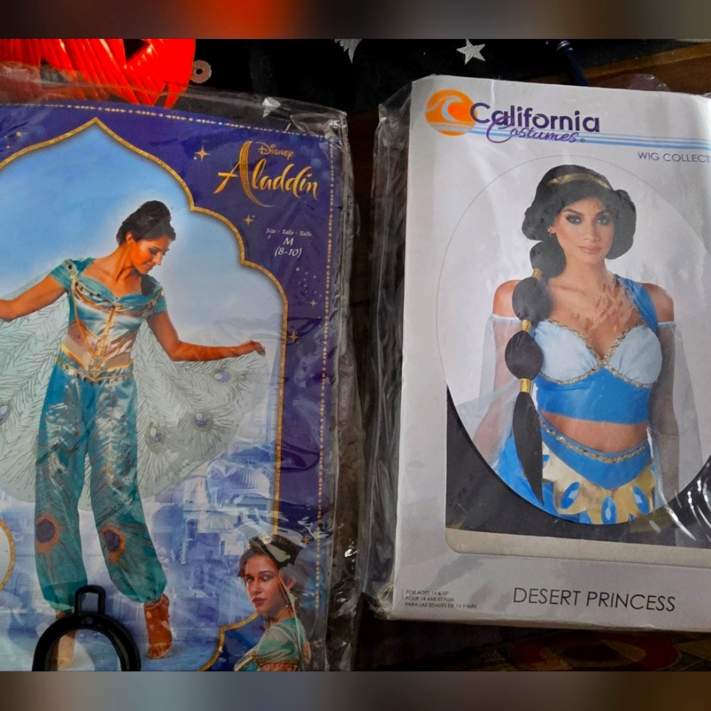 Adult Medium Princess Jasmine Costume